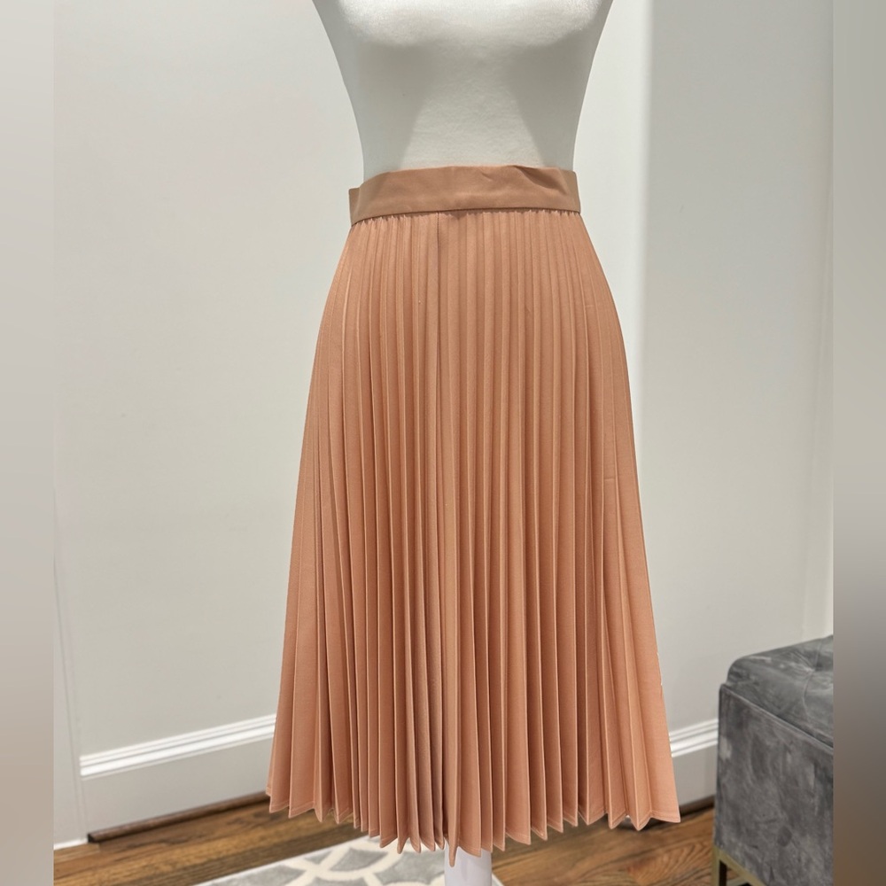 Zara pleated Skirt